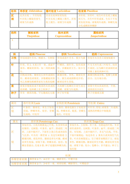 树木学的科、属、种的区别分类