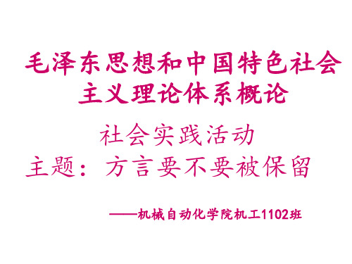 毛概社会实践活动展示幻灯片