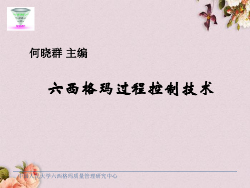 六西格玛管理过程控制技术(ppt 243页)