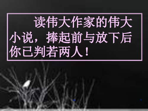 丹柯-(整理).ppt