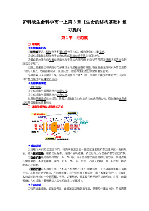 沪科版生命科学高一上第3章《生命的结构基础》复习提纲