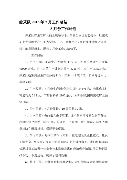 2013年7月工作总结