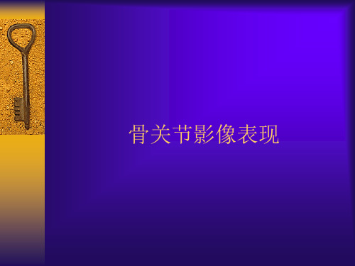 骨关节正常X线解剖详解