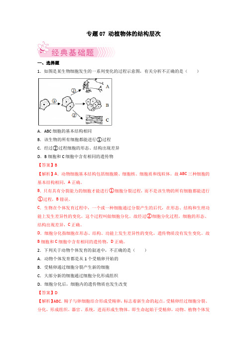 07 动植物体的结构层次【人教七上生物期中期末必考点精练】(解析版)