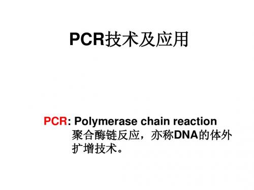 PCR技术及应用