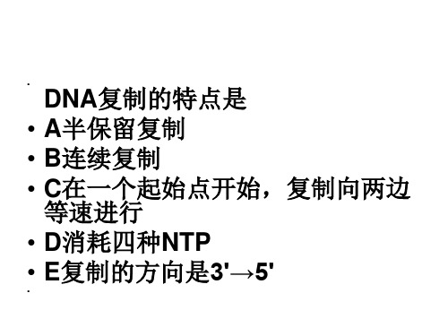 DNA生物合成习题