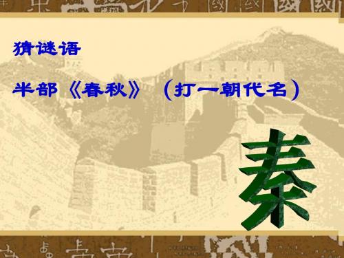 【初中历史】秦帝国的兴亡ppt13 北师大版