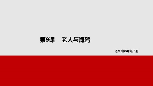 五年级下册语文课件-9老人与海鸥 语文S版(共31张PPT)