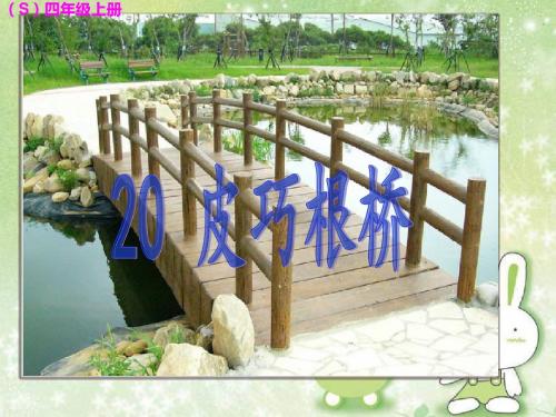 20皮巧根桥