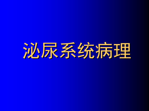 泌尿系统病理