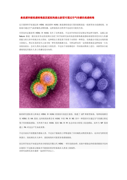 禽流感和猪流感病毒基因重配构建出新型可通过空气传播的流感病毒