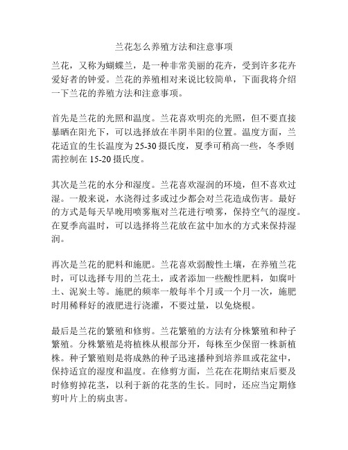 兰花怎么养殖方法和注意事项