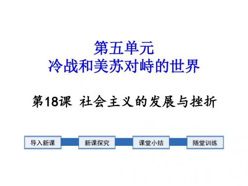 【历史】部编人教版九年级下册：第18课社会主义的发展与挫折课件(31张ppt)精品课件