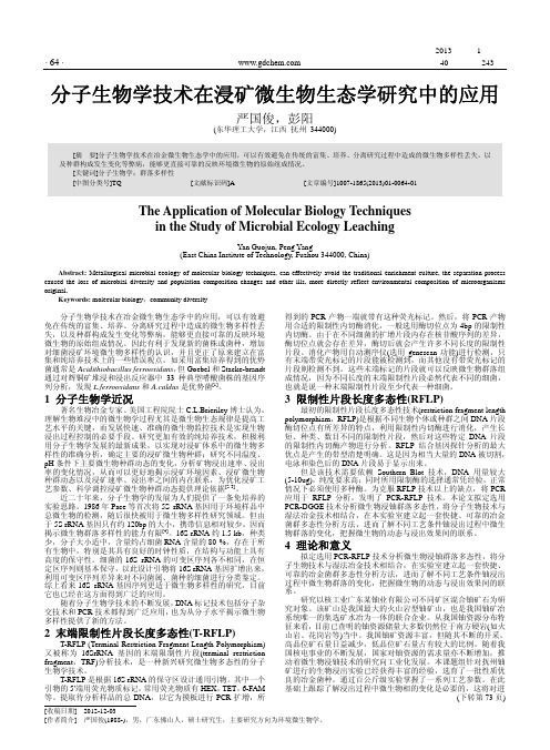 分子生物学技术在浸矿微生物生态学研究中的应用