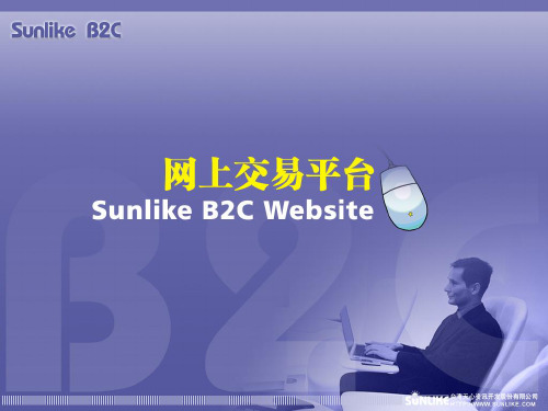 Sunlike+ERP+B2C演示文稿