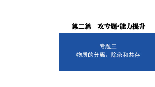 中考化学复习 专题三 物质的分离、除杂和共存