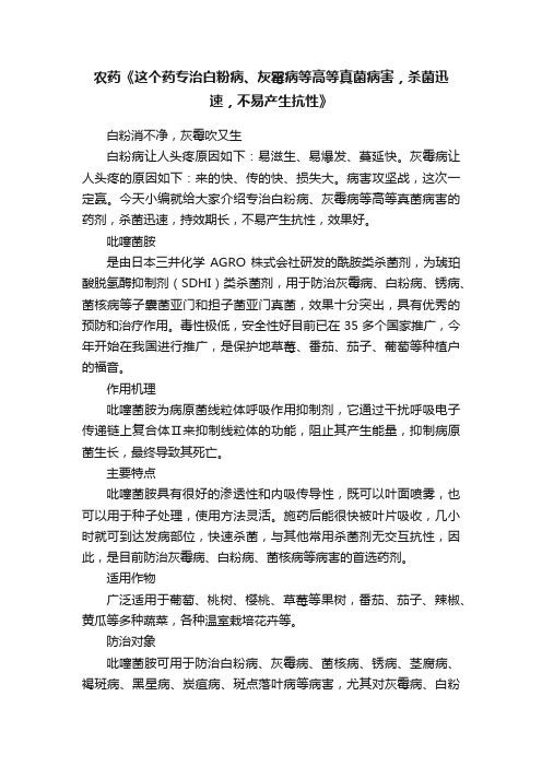 农药《这个药专治白粉病、灰霉病等高等真菌病害，杀菌迅速，不易产生抗性》