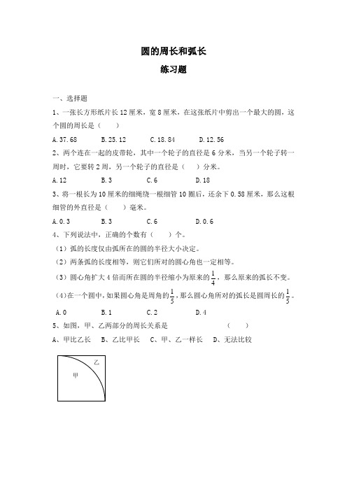 六年级下册数学试题-小升初复习专练：圆的周长和弧长练习卷(试题卷+解析卷)全国通用