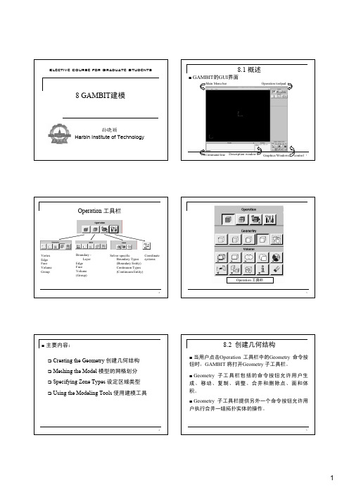 08_GAMBIT建模