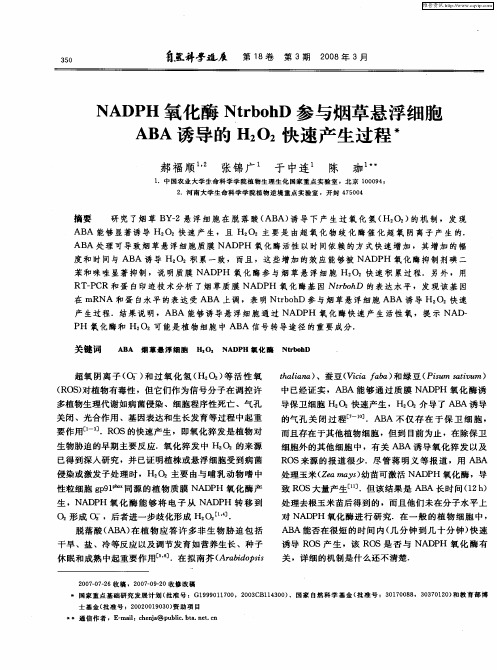 NADPH氧化酶NtrbohD参与烟草悬浮细胞ABA诱导的H2O2快速产生过程