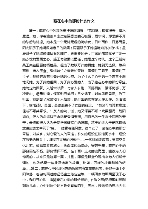 藏在心中的那份什么作文