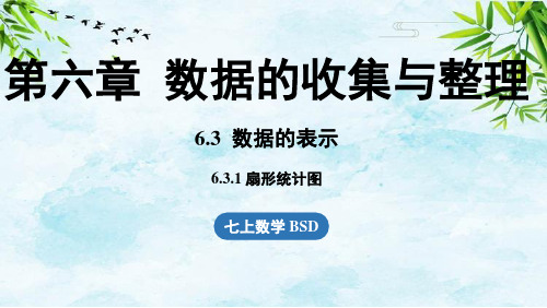 6.3 数据的表示课时1七年级上册数学北师大版