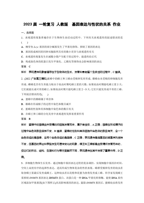 一轮复习人教版基因表达与性状的关系作业