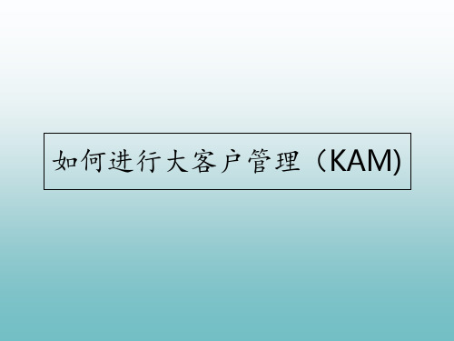 客户管理系列大客户管理 ppt课件