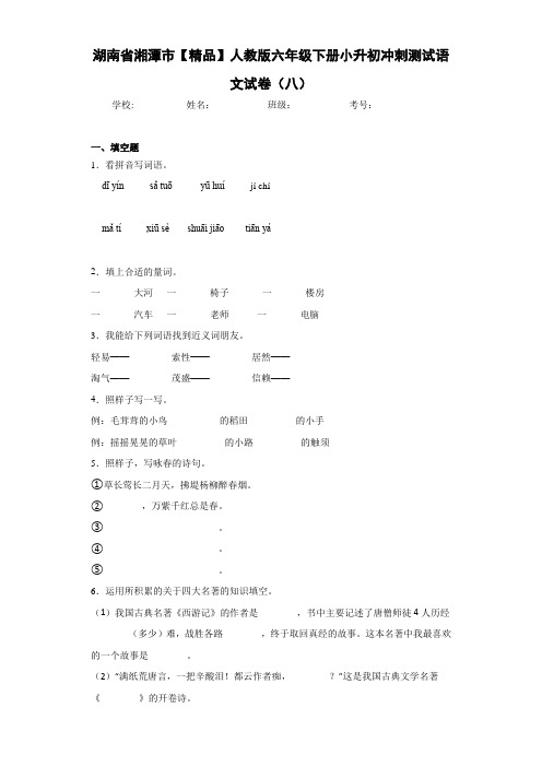 小学湖南省湘潭市人教版六年级下册小升初冲刺测试语文试卷(八)(含答案解析)