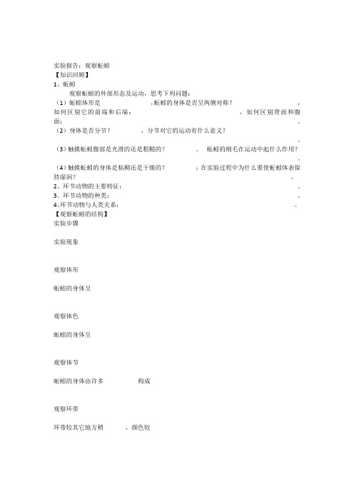 人教版新八年级生物上册实验报告观察蚯蚓