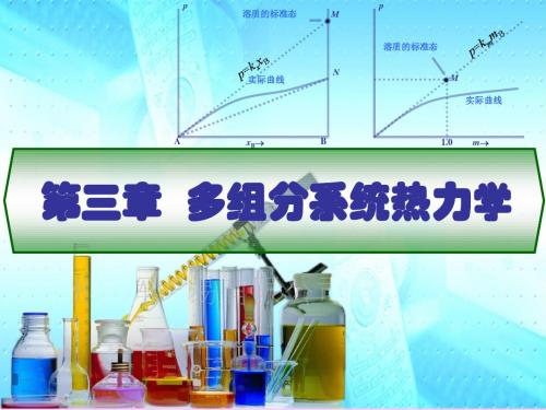 多组分系统热力学