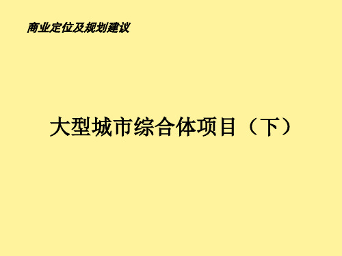 大型城市综合体项目商业定位及规划建议(下)