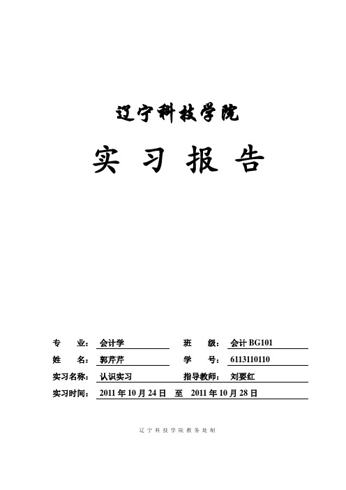 辽宁科技学院毕业实习报告