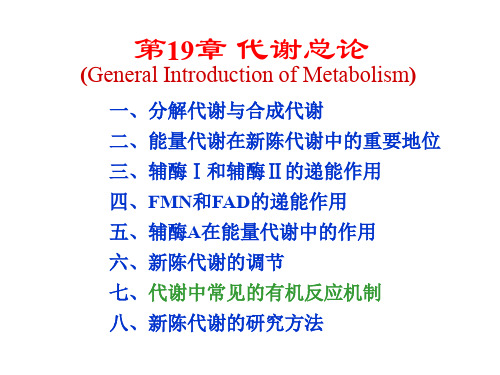 生物化学第19和20章代谢总论和生物能学