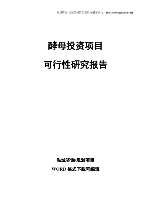 酵母投资项目可行性研究报告