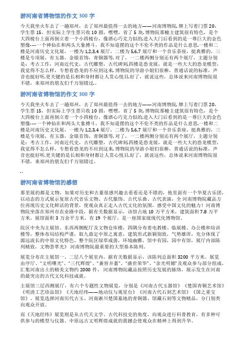 大学生河南博物院游记范文