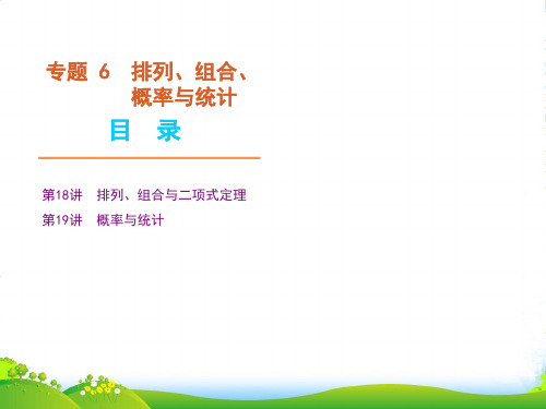 高中数学二轮 三轮复习 专题6 排列 组合与二项式定理课件 大纲人教版