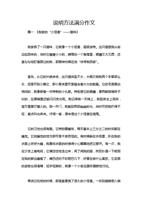 说明方法满分作文