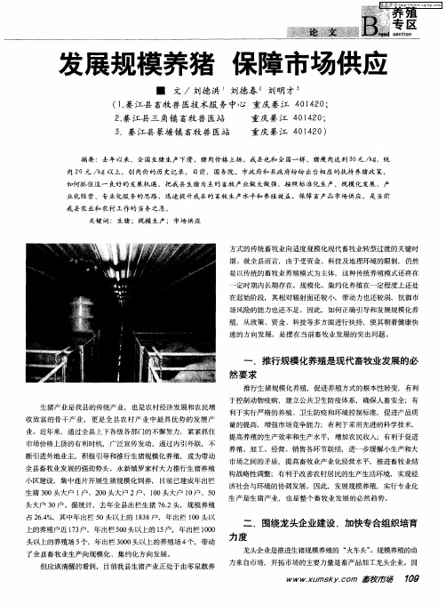 发展规模养猪 保障市场供应