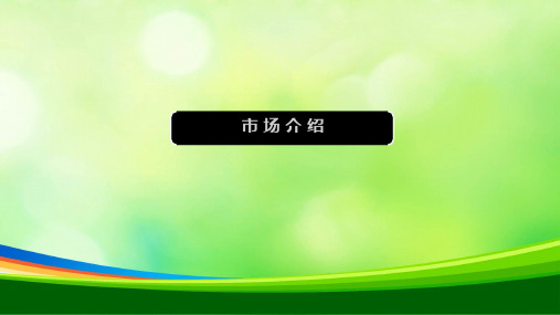 某某年连云港某国际商务大厦项目市调报告(ppt 61页)