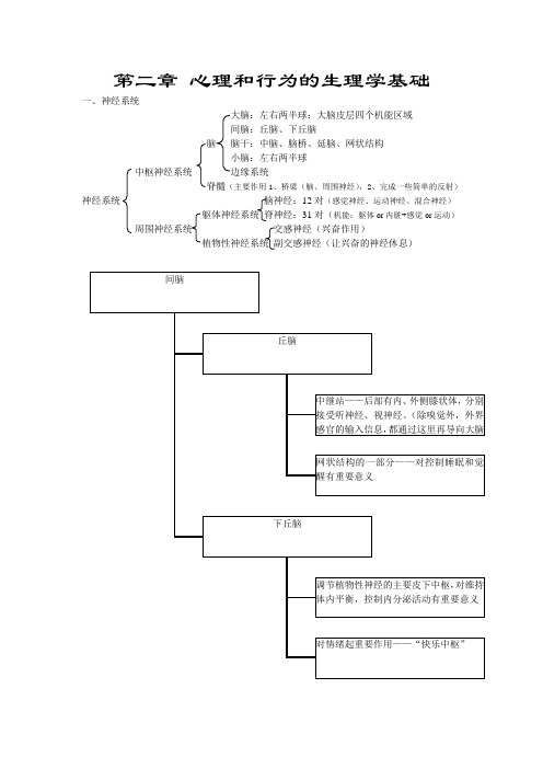 普通心理学-2神经系统与大脑功能-重点小结