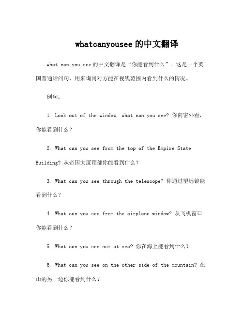 whatcanyousee的中文翻译