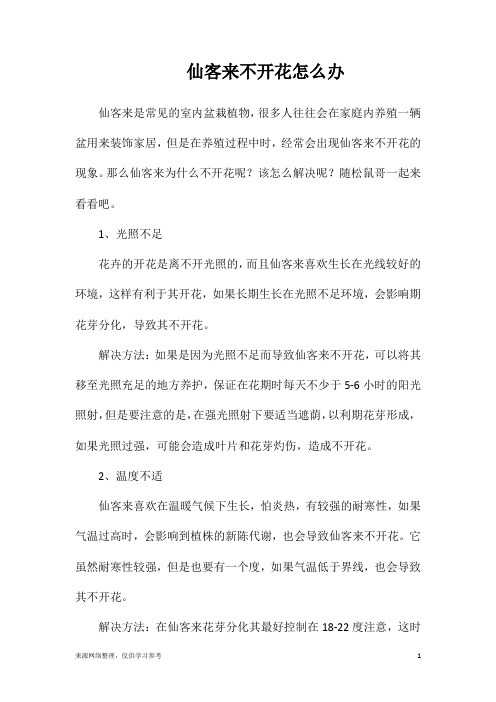 仙客来不开花怎么办