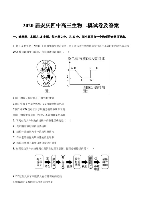 2020届安庆四中高三生物二模试卷及答案