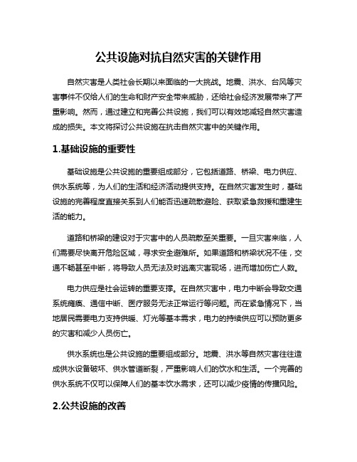 公共设施对抗自然灾害的关键作用