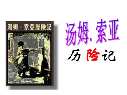 部编本六年级语文下册7.《汤姆·索亚历险记》PPT公开课教学课件