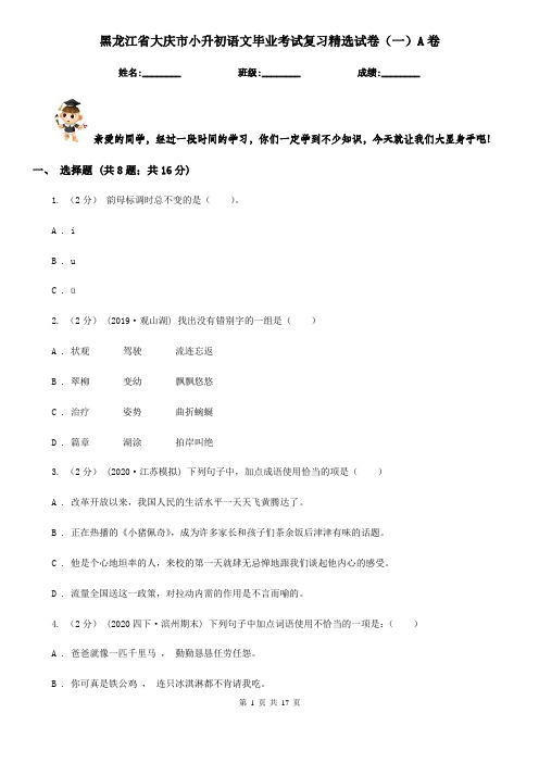 黑龙江省大庆市小升初语文毕业考试复习精选试卷(一)A卷