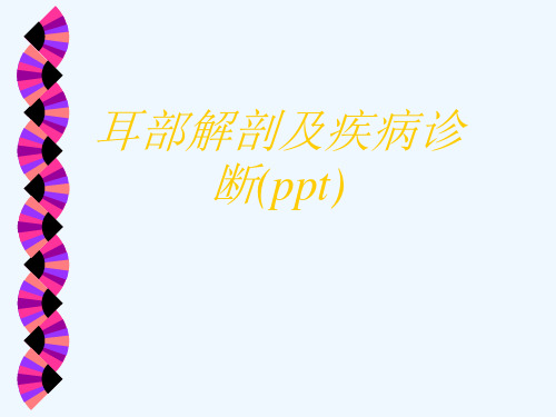 耳部解剖及疾病诊断(ppt)