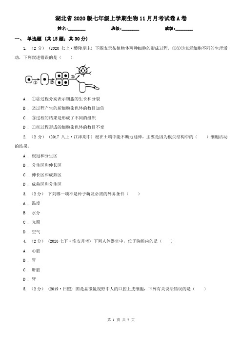 湖北省2020版七年级上学期生物11月月考试卷A卷