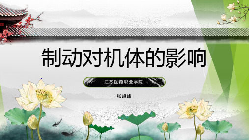 (完整版)制动对机体的影响